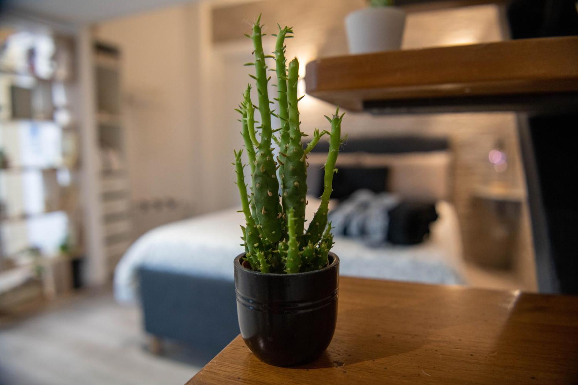 B&B Carpe Diem Vista Lago 카스텔간돌포 외부 사진